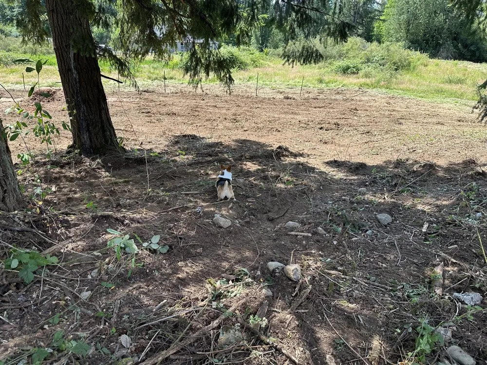 Reliable garden landscaping in Maple Valley, WA by Excalibur Landservices