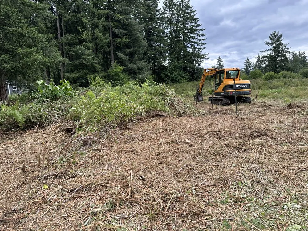 Trusted lawn care service for outdoor upgrades in Maple Valley, WA by Excalibur Landservices