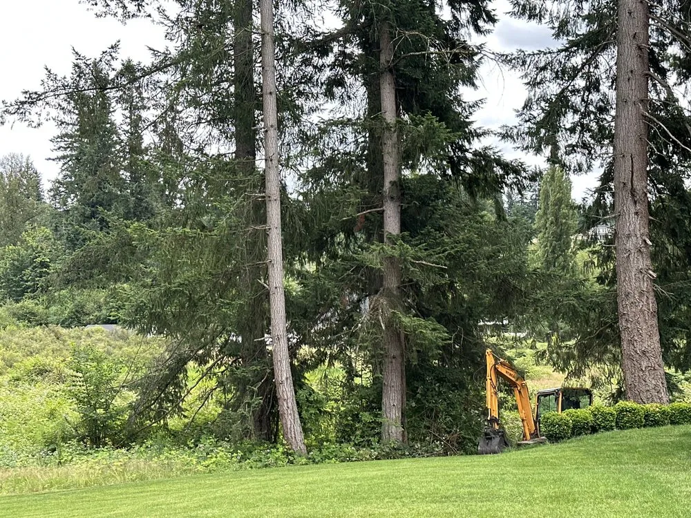 Custom yard maintenance experts serving Maple Valley, WA - Excalibur Landservices