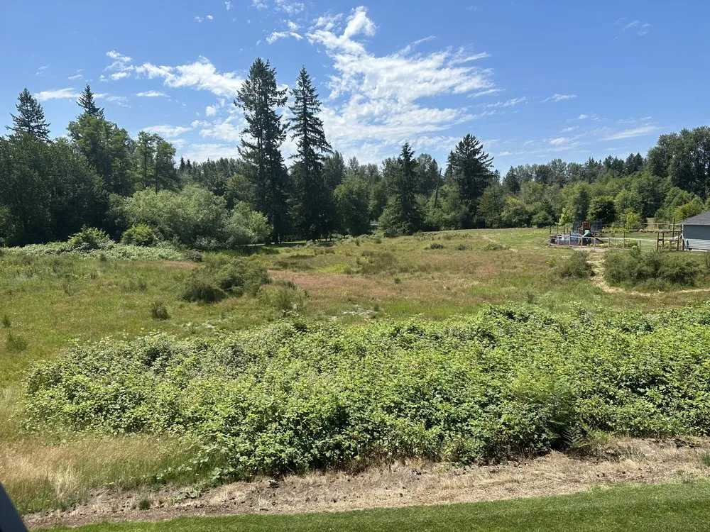 Top-rated landscape installation experts serving Maple Valley, WA - Excalibur Landservices