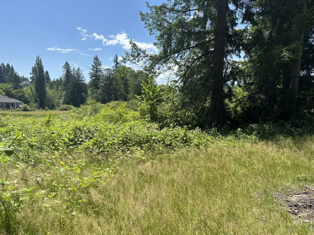 Reliable outdoor landscaping for beautiful yards across Maple Valley, WA - Excalibur Landservices