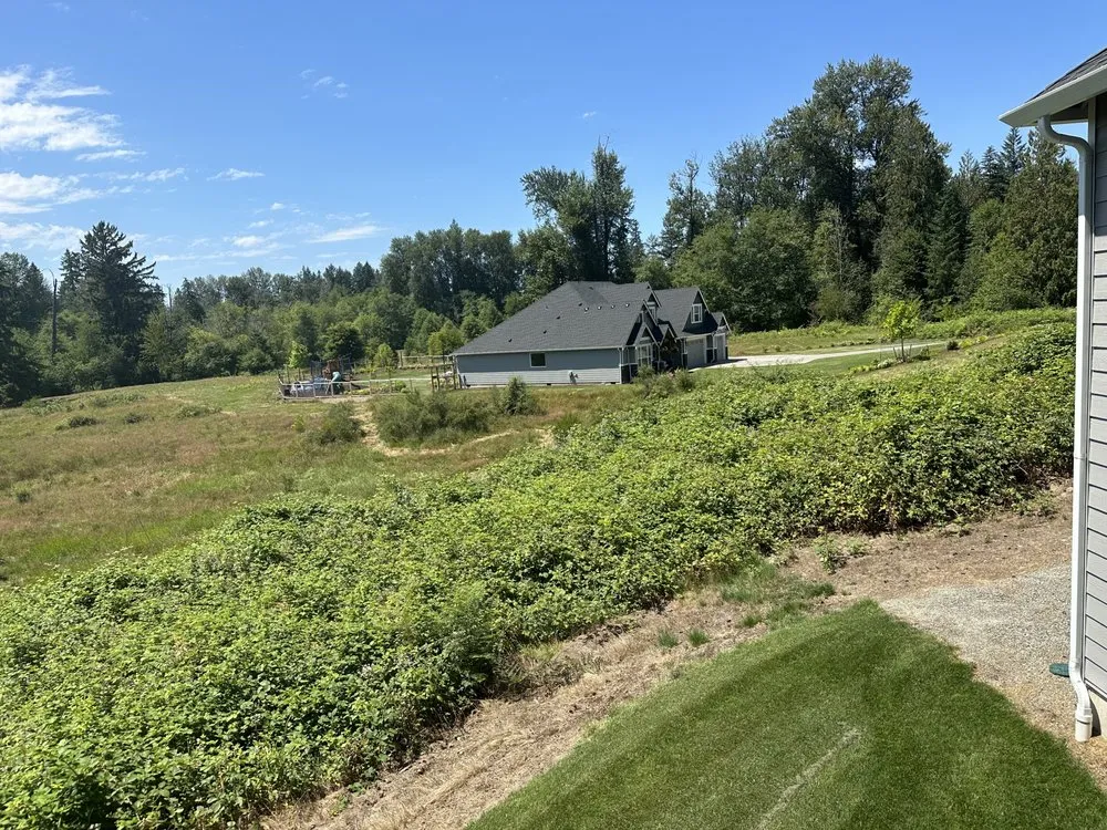 Affordable garden landscaping near you across Maple Valley, WA - Excalibur Landservices