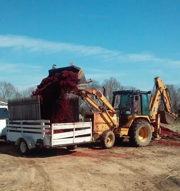 Affordable landscape design experts serving 566 Woodstown Rd, NJ - Excavating by M&S