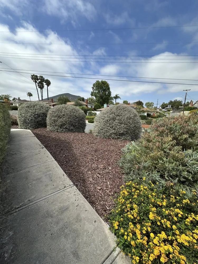 Top-rated landscaping services for beautiful yards in Escondido, CA by Excavation Dirt Works & Grading