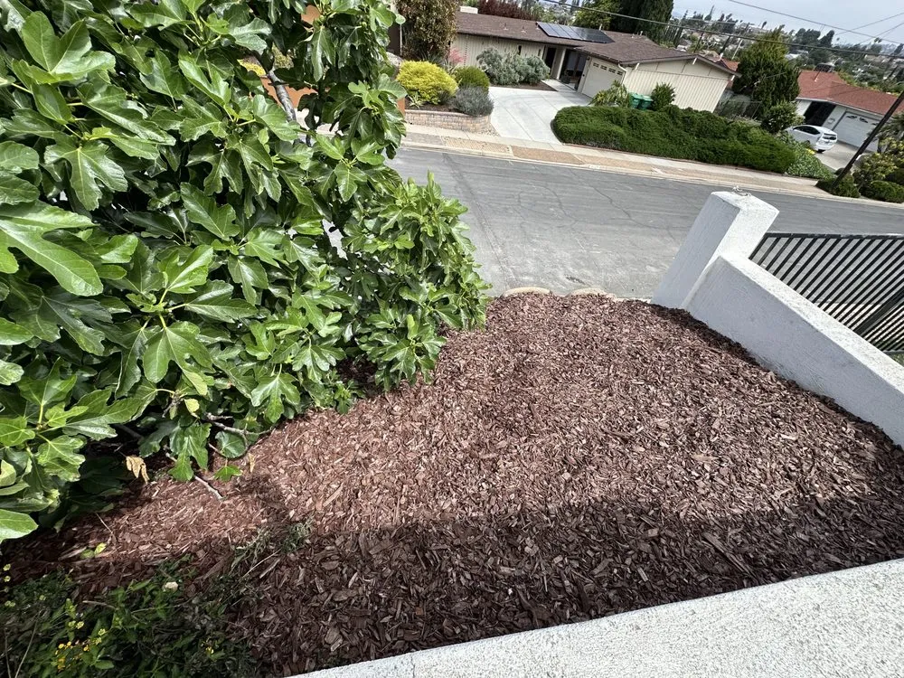 Top-rated residential landscaping in Escondido, CA - Excavation Dirt Works & Grading