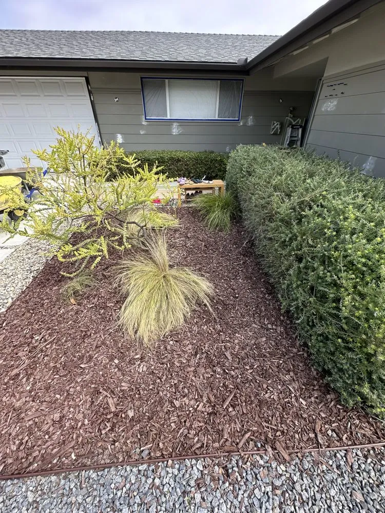Trusted yard cleanup service experts serving Escondido, CA - Excavation Dirt Works & Grading