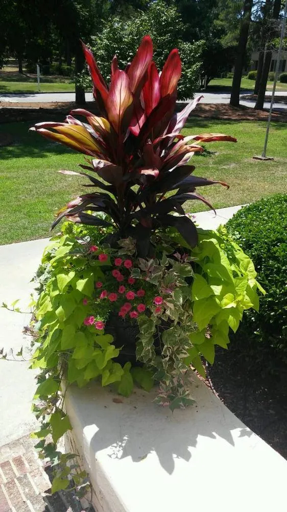 Local yard maintenance in Columbia, SC by Exceed Landscape Solutions