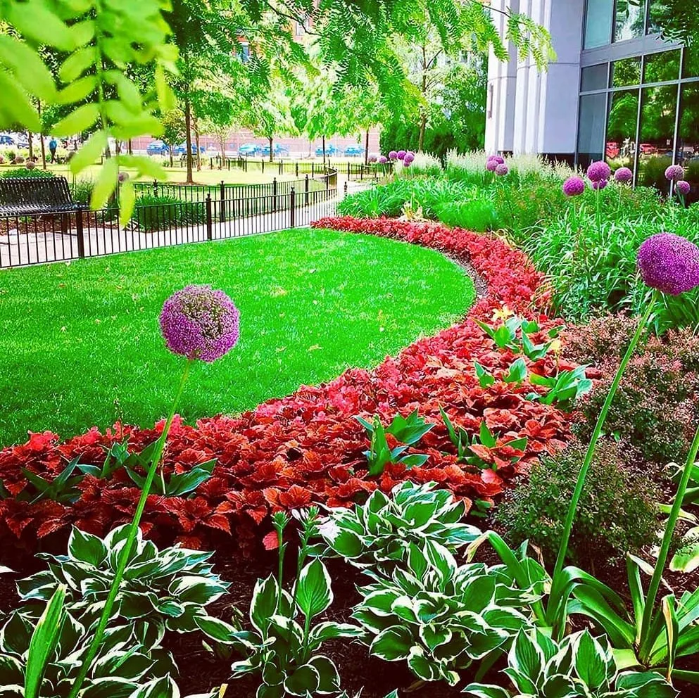 Local landscape installation experts serving Columbia, SC - Exceed Landscape Solutions