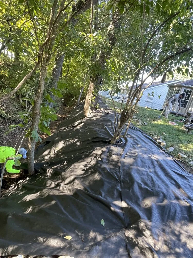 Reliable landscape design for residential properties in Creve Coeur, MO by Excel landscaping