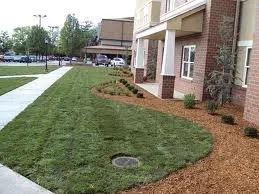 Affordable lawn mowing service in Harrison Township, MI by Excel Landscaping