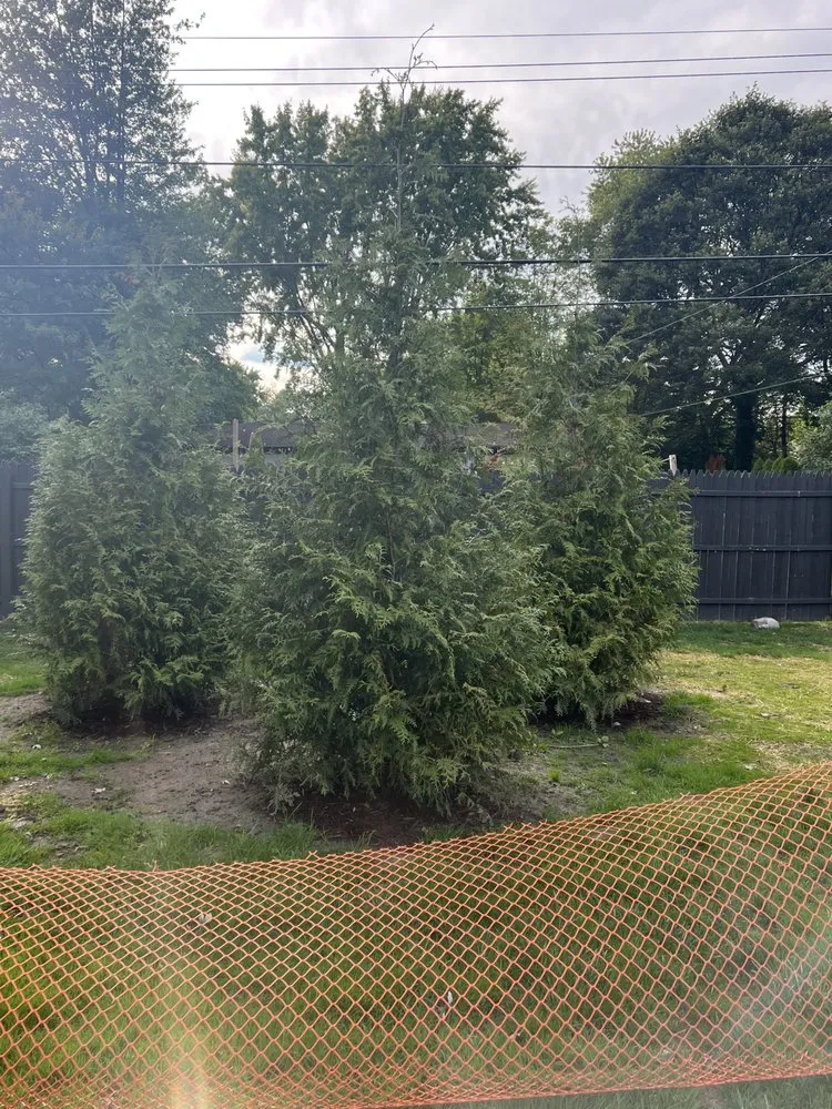 Trusted yard cleanup service experts serving Harrison Township, MI - Excel Landscaping