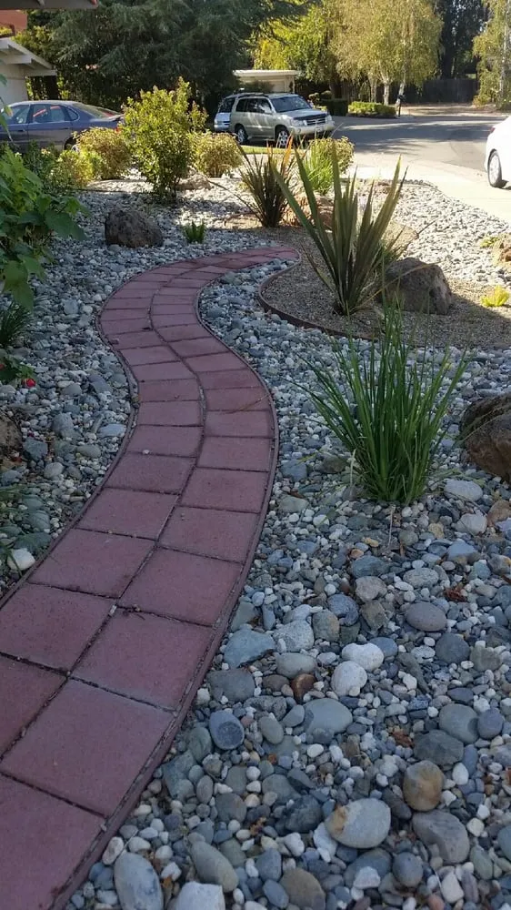 Expert yard maintenance in Sacramento, CA by Excel Landscaping