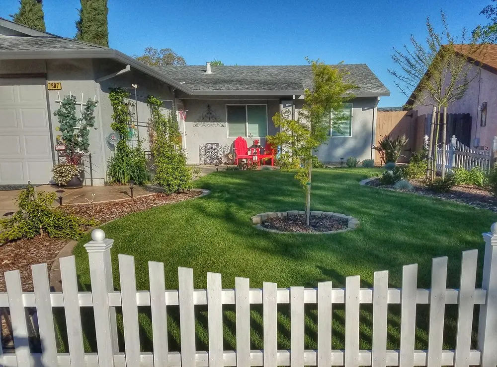 Expert lawn care service for beautiful yards across Sacramento, CA - Excel Landscaping