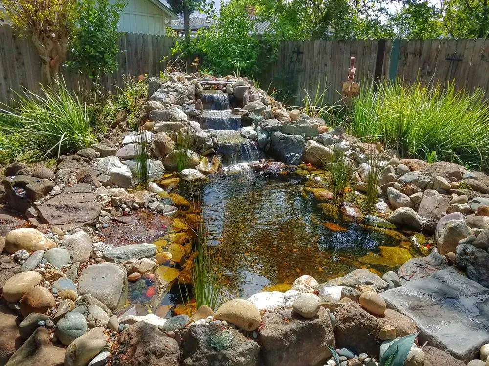 Top-rated yard cleanup service in Sacramento, CA - Excel Landscaping