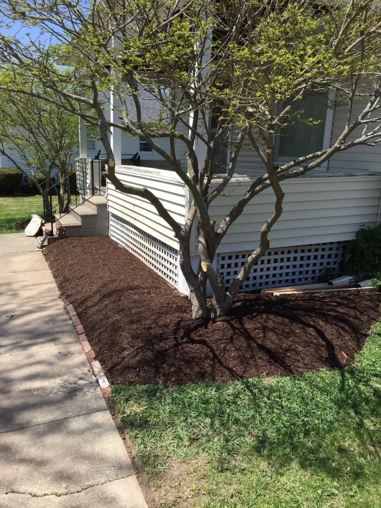 Local yard maintenance for outdoor upgrades in West Chicago, IL by Excel Lawn Care & Snow
