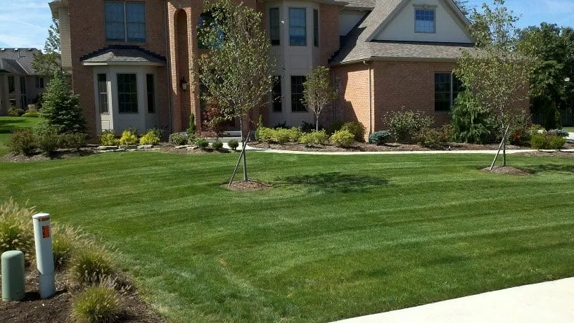 Local lawn mowing service for beautiful yards in Grafton, OH by Excel Management