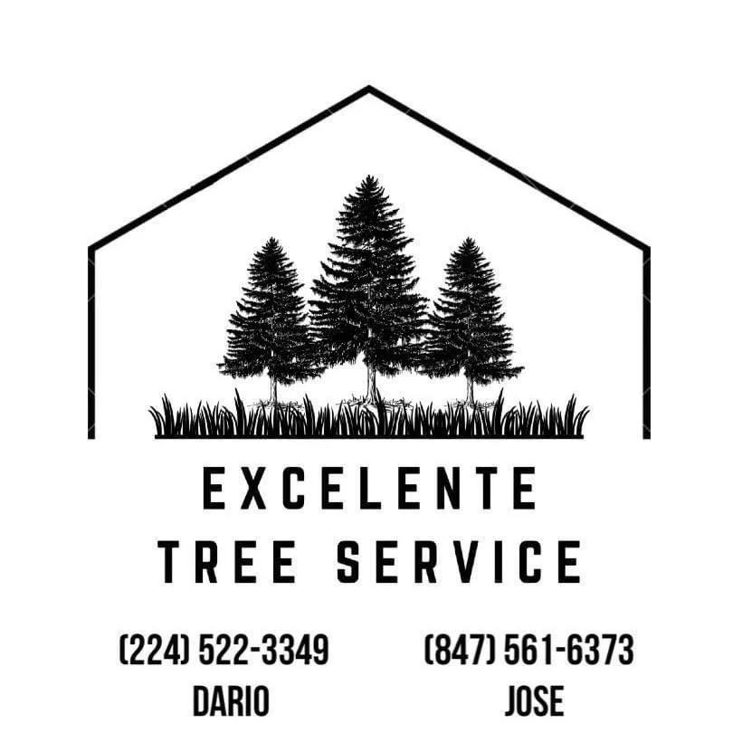 Trusted landscaping services for year-round maintenance in North Chicago, IL by Excelente Tree Service