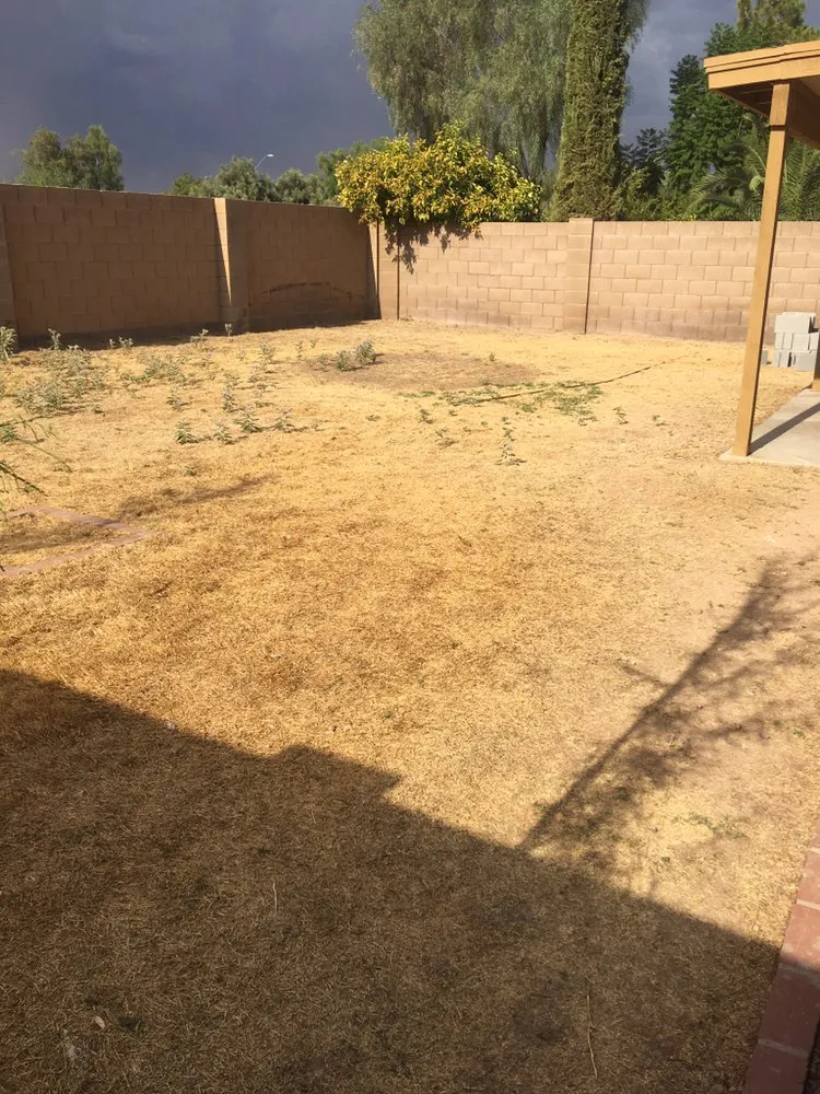 Professional garden landscaping for beautiful yards across Surprise, AZ - Excelerated Landscaping