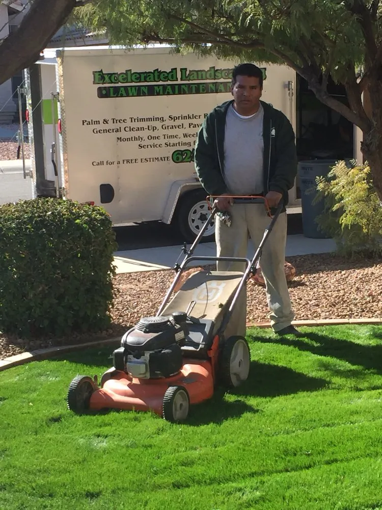 Custom outdoor landscaping with custom design in Surprise, AZ by Excelerated Landscaping