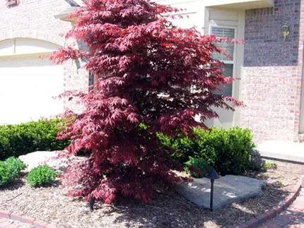 Reliable garden landscaping for year-round maintenance across Oak Park, MI - Excell Snow & Turf