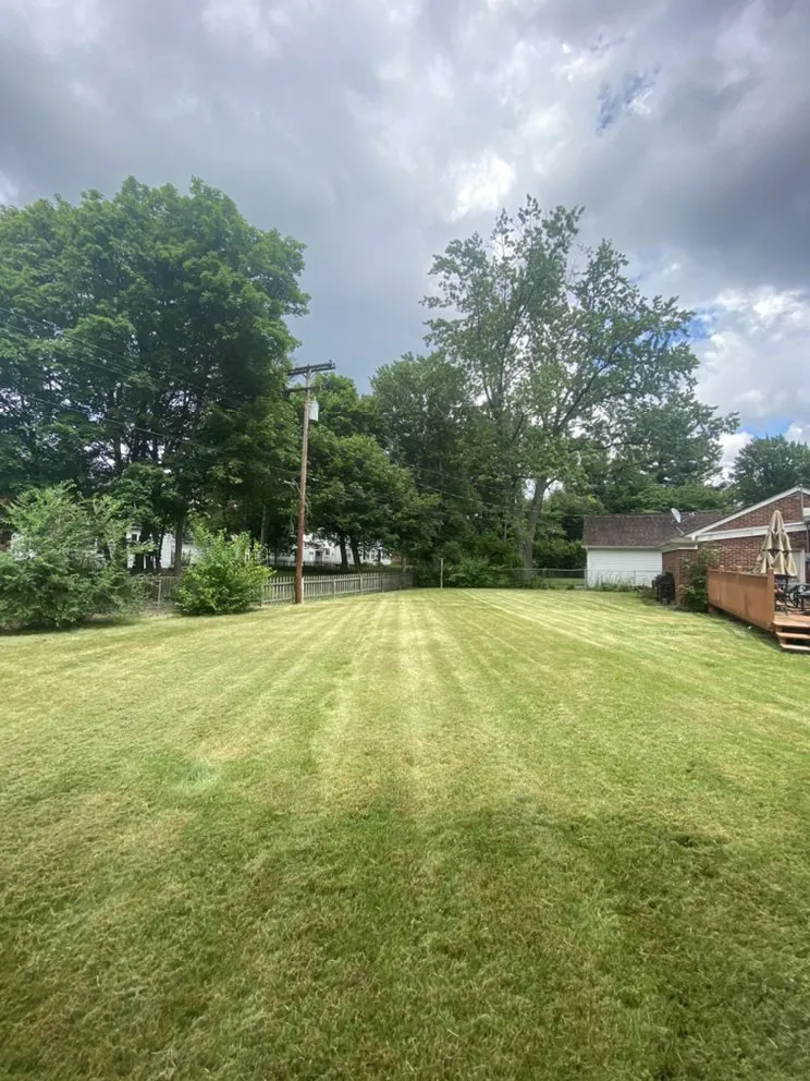 Top-rated lawn care service experts serving Roseville, MI - Excellence Above All Lawncare Service