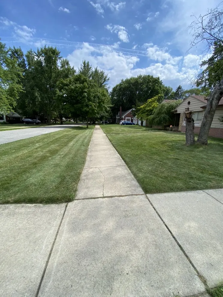 Expert landscaping services experts serving Roseville, MI - Excellence Above All Lawncare Service