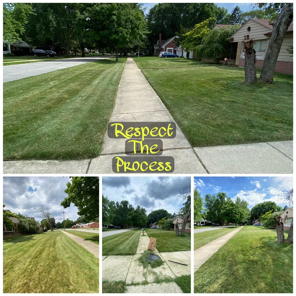 Expert landscape installation in Roseville, MI by Excellence Above All Lawncare Service