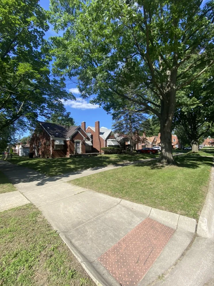 Custom yard cleanup service experts serving Roseville, MI - Excellence Above All Lawncare Service