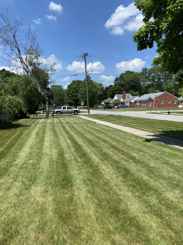 Trusted landscaping services in Roseville, MI - Excellence Above All Lawncare Service