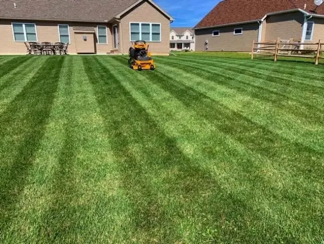 Professional yard maintenance experts serving Maumee, OH - Excellence in Lawn Care