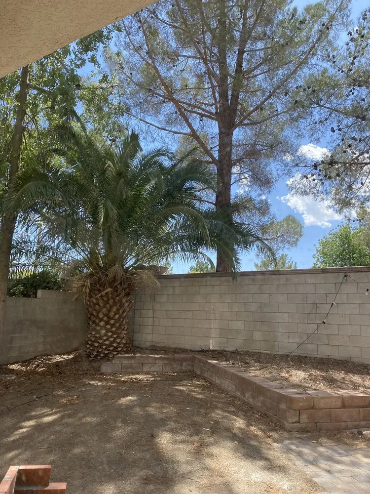 Reliable yard cleanup service for homes across Las Vegas, NV - Excellence Landscaping and Construction