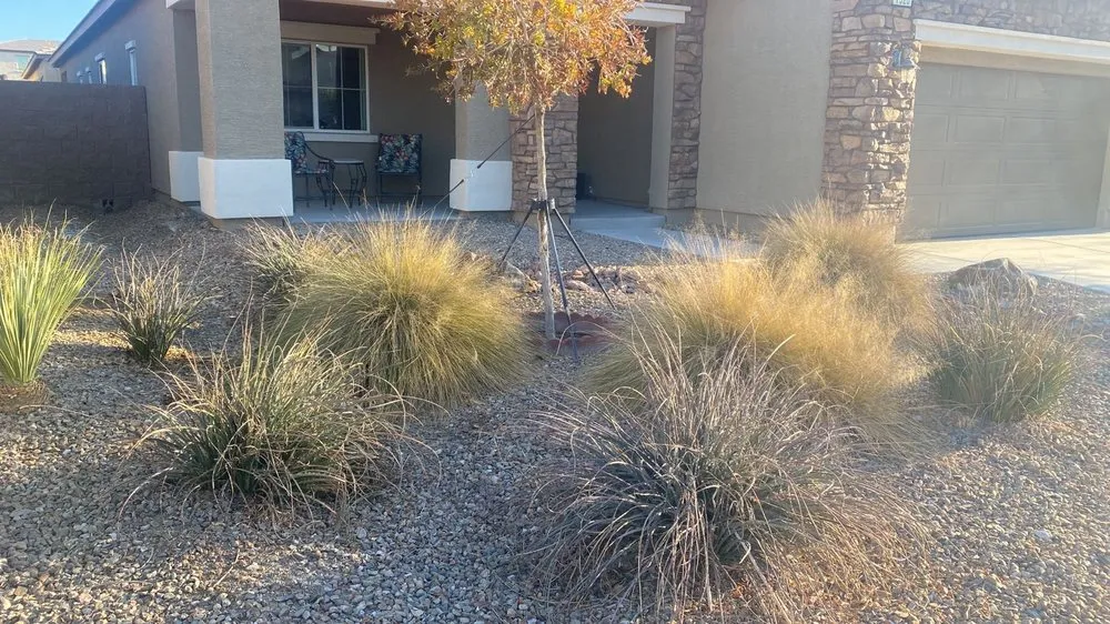Reliable garden landscaping for outdoor upgrades in Las Vegas, NV by Excellence Landscaping and Construction