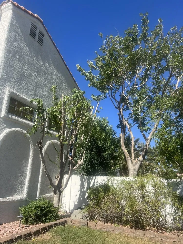 Top-rated landscape design in Las Vegas, NV by Excellence Landscaping and Construction