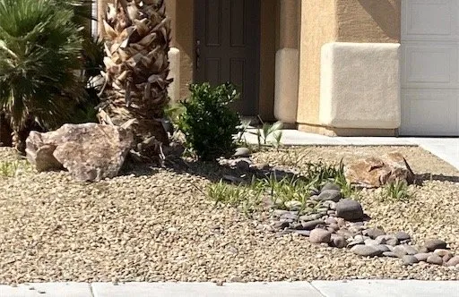 Custom garden landscaping experts serving Las Vegas, NV - Excellence Landscaping and Construction