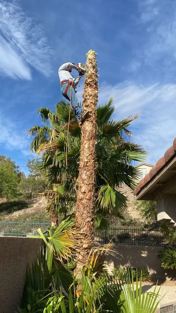 Professional outdoor landscaping experts serving Las Vegas, NV - Excellence Landscaping and Construction