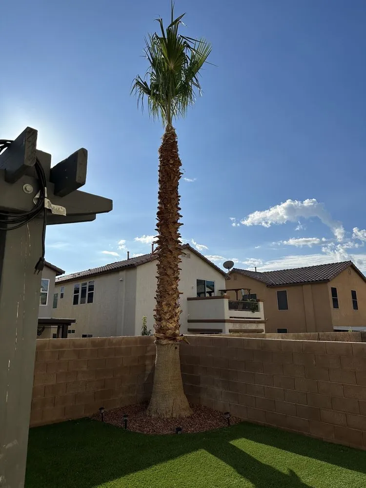 Top-rated landscape installation with custom design across Las Vegas, NV - Excellence Landscaping and Construction