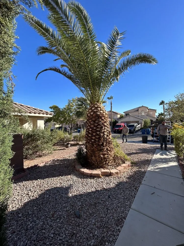 Local outdoor landscaping experts serving Las Vegas, NV - Excellence Landscaping and Construction