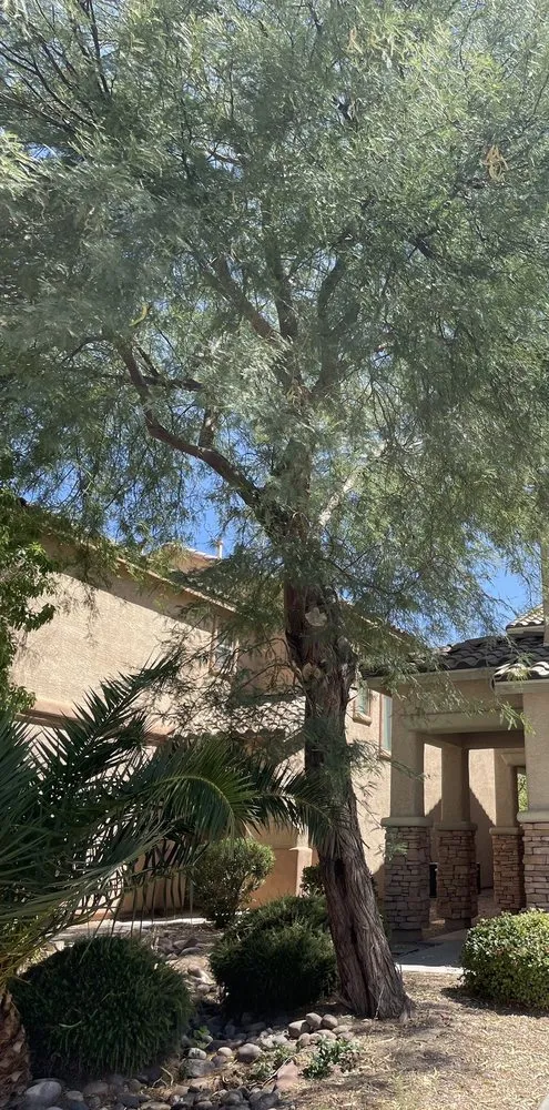 Trusted garden landscaping near you in Las Vegas, NV by Excellence Landscaping and Construction