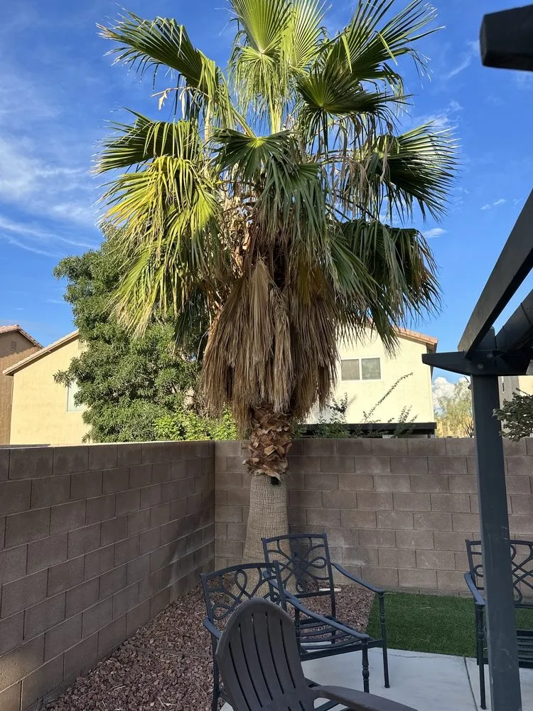 Custom lawn mowing service in Las Vegas, NV by Excellence Landscaping and Construction