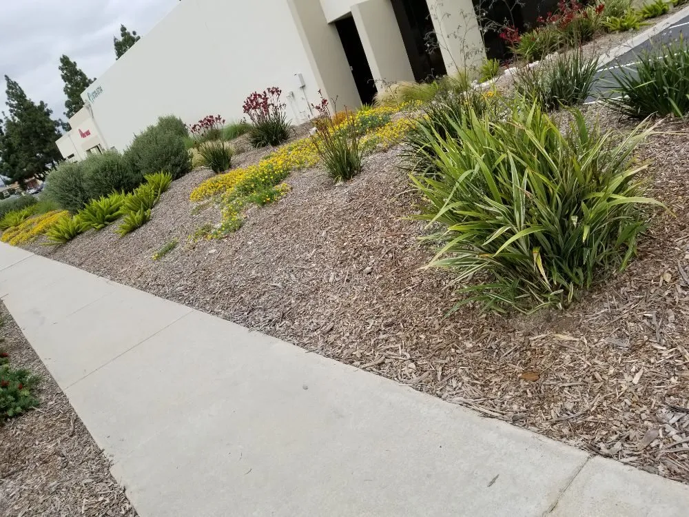 Local yard maintenance with custom design across Downey, CA - Excellence Landscaping And Maintenance