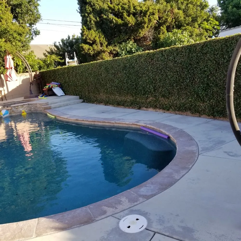 Reliable yard maintenance in Downey, CA by Excellence Landscaping And Maintenance