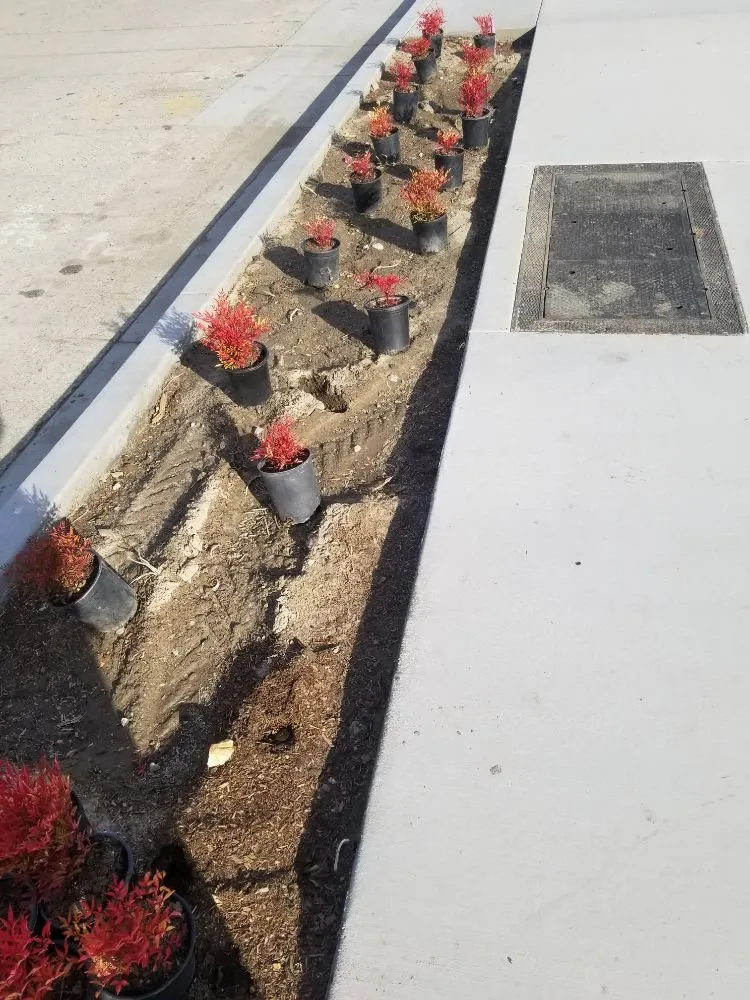 Trusted yard maintenance for residential properties across Downey, CA - Excellence Landscaping And Maintenance