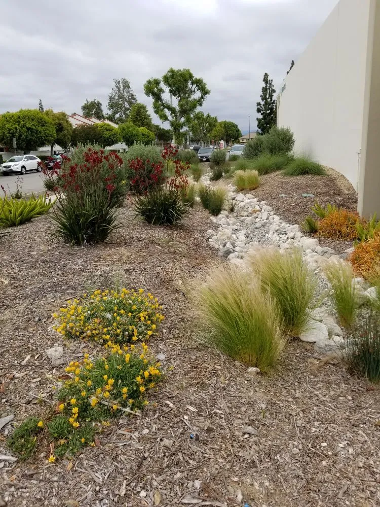 Top-rated lawn care service near you across Downey, CA - Excellence Landscaping And Maintenance