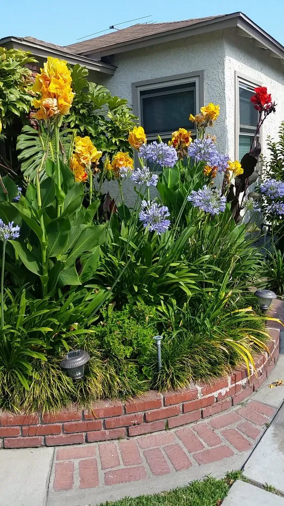 Affordable outdoor landscaping for residential properties in Downey, CA by Excellence Landscaping And Maintenance