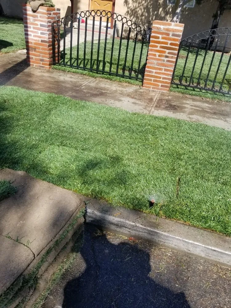 Affordable outdoor landscaping with custom design across Downey, CA - Excellence Landscaping And Maintenance