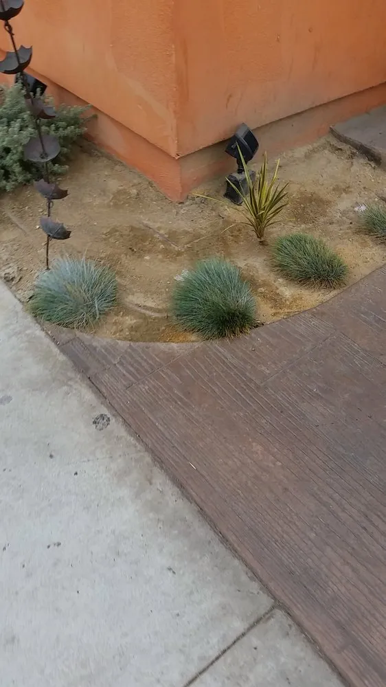 Professional lawn care service in Downey, CA - Excellence Landscaping And Maintenance