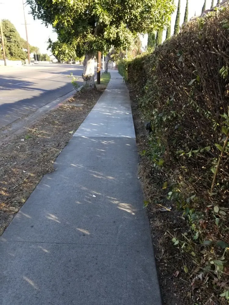 Top-rated landscape design in Downey, CA - Excellence Landscaping And Maintenance