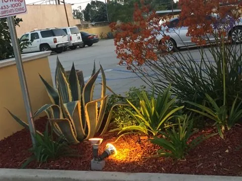 Custom yard cleanup service near you in Downey, CA by Excellence Landscaping And Maintenance