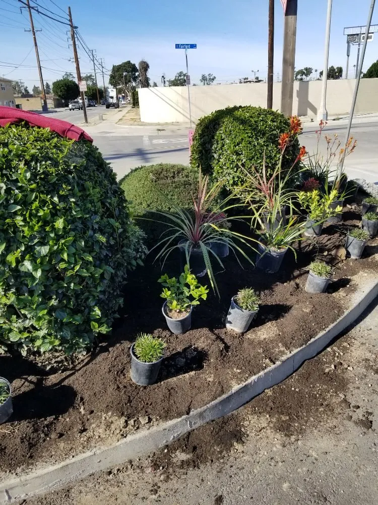 Trusted lawn care service in Downey, CA - Excellence Landscaping And Maintenance