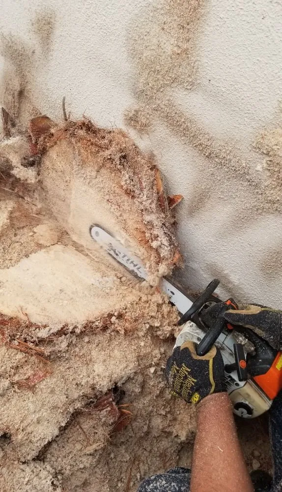 Top-rated landscape installation for homes in Downey, CA by Excellence Landscaping And Maintenance